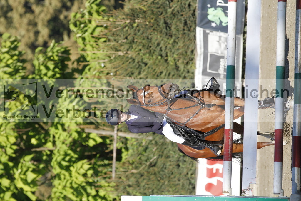 _MG_4523 | equestrian-live-com