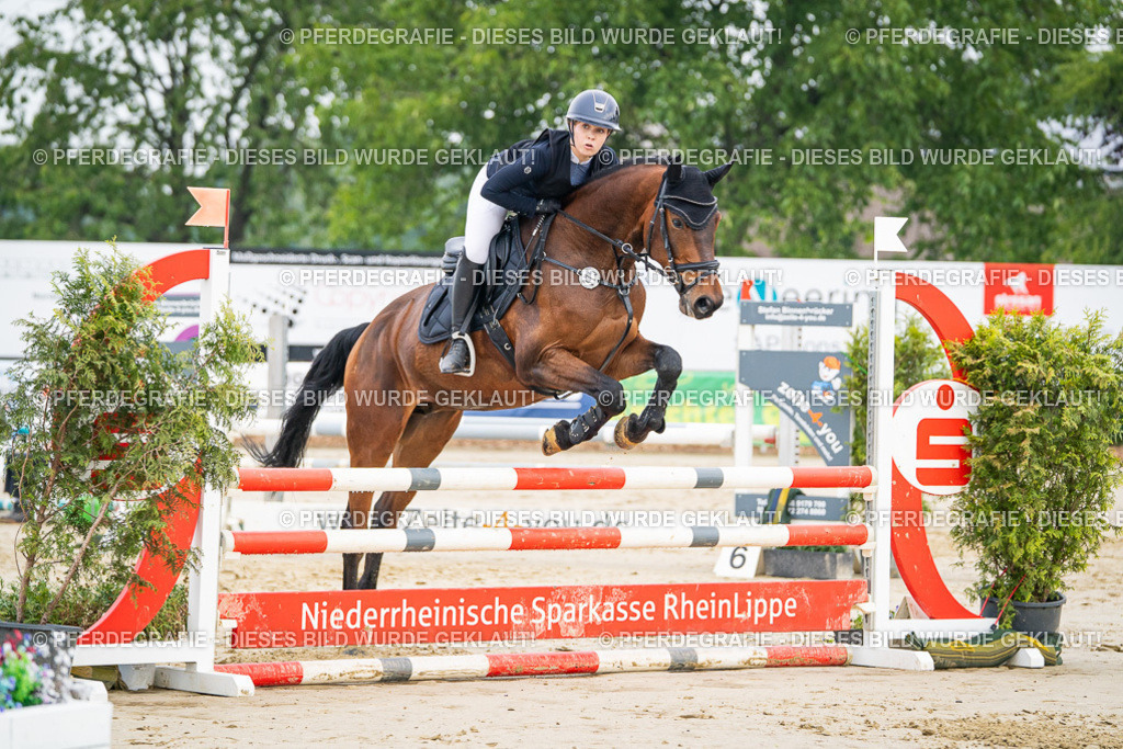 DSC08447 | Pferdegrafie