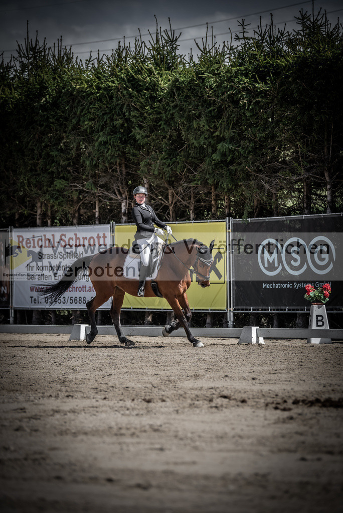 DSC_0489 | equestrian-live-com