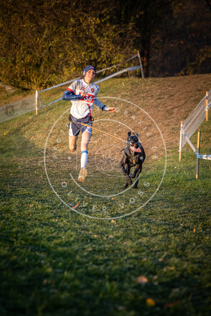 CaniXpix_0L8A1776 | Hundefotografie, Tierfotograf, Pfotenfotografie, Fotoshooting Hund, Hunde Portrait, Hundesport, Hundeportraits, Heideshooting, Hunde, Sportfotograf, Hundefotograf, Turnierhundsport, THS,  - Realisiert mit Pictrs.com