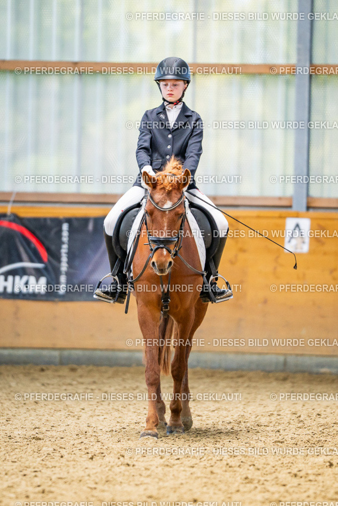 DSC03443 | Pferdegrafie