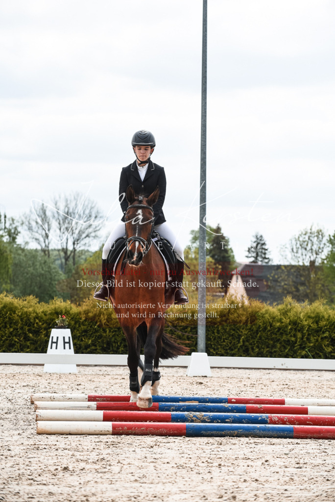 20230518_JK-Röhrsdorf-10-166 | Pferde- und Turnierfotografie in Westsachsen. Pferdeportraits, Auftragszeichnungen und intuitive Kunst.