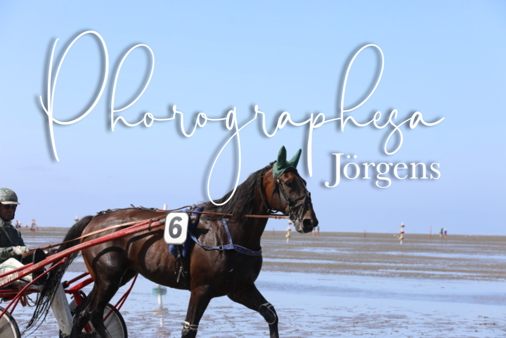 IMG_9486 | photographesa-joergens - Realisiert mit Pictrs.com