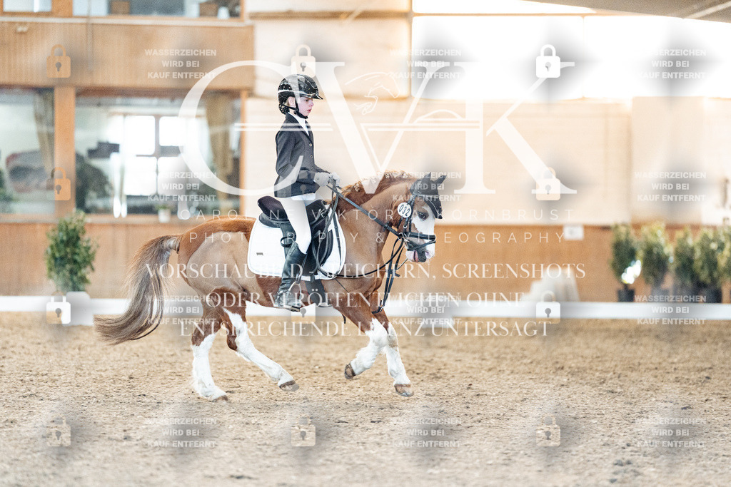 CK907303 | Turnierfotografie Pferdefotografie Trier Rheinland-Pfalz Pferdesport Reitsport Tierfotografie Sportfotografie Pferdevideo Pferdevideografie Equestrianvideography equestrianphotography  - Realisiert mit Pictrs.com
