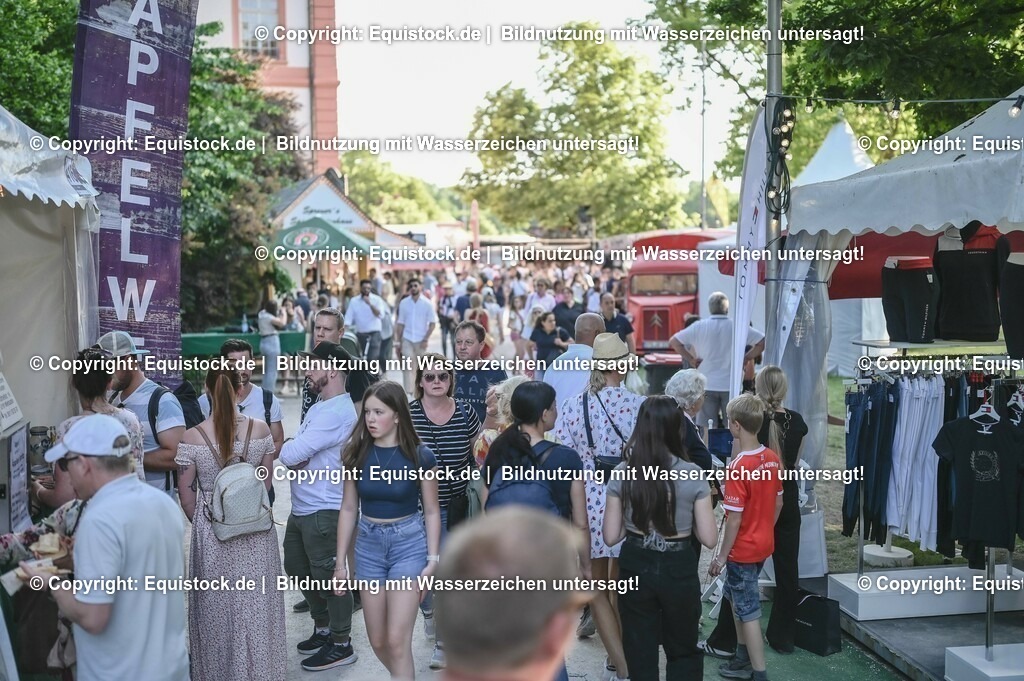 D78_3773 | equistock