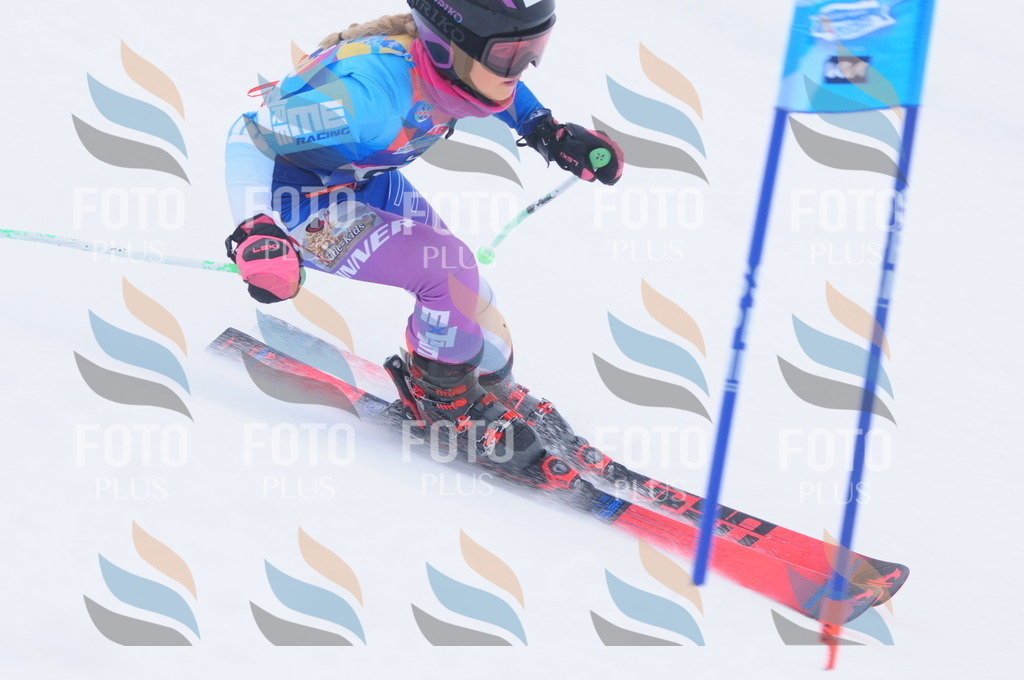 C2786 | holidayphoto