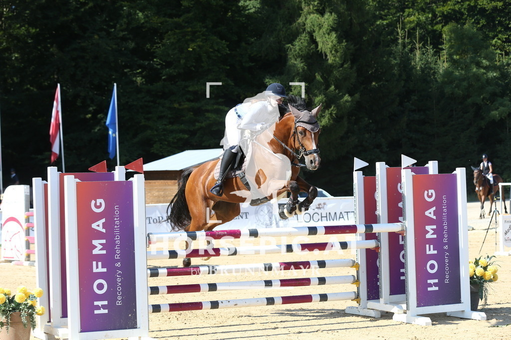 DL2Q2360 | Willkommen bei Brunnmayr - Design & Fotografie – Ihrem Spezialisten für Reitturniere und Pferdeveranstaltungen in Oberösterreich, Salzburg und Bayern! Seit über 17 Jahren sind wir leidenschaftlich dabei.