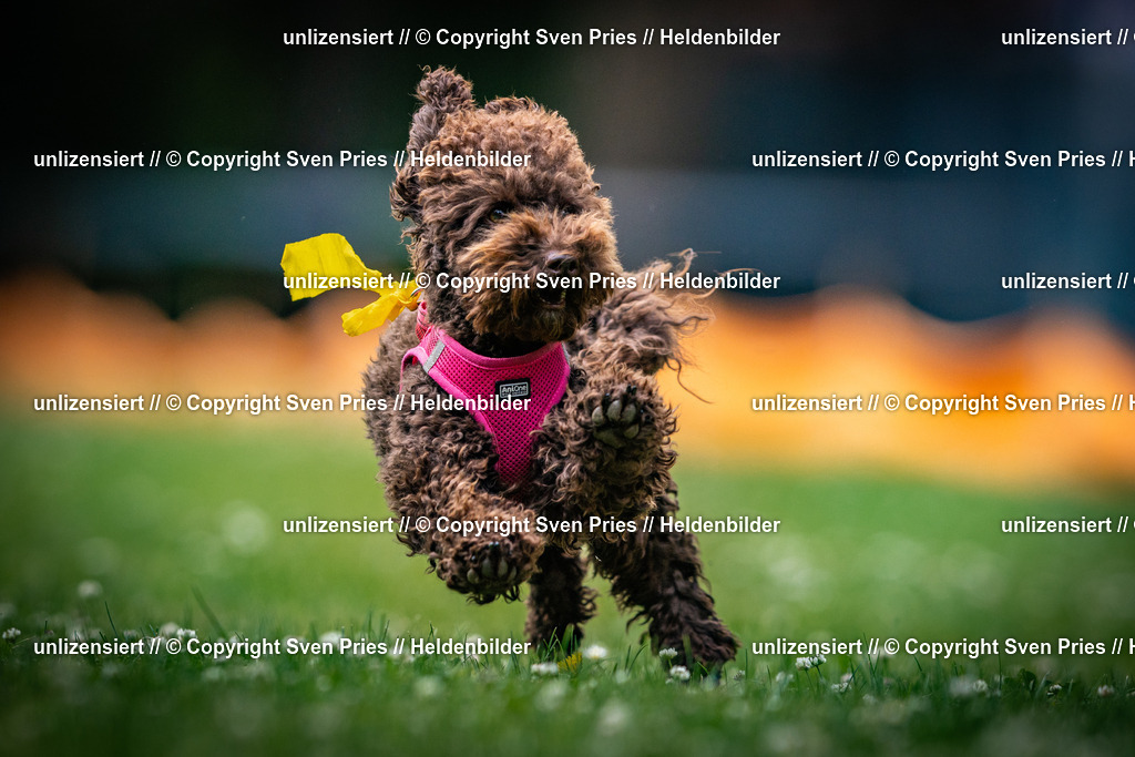 Sven Pries | 2025-05-29 - Pudelrennen KA-Durlach - Realisiert mit Pictrs.com