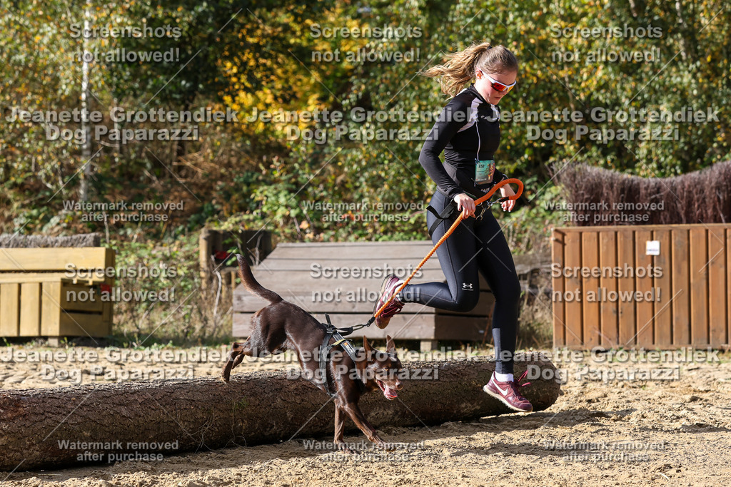 Dog Paparazzi - Strongdog 10-25-5683 | Dog Paparazzi Jeanette Grottendiek Fotografie & Videografie - Realisiert mit Pictrs.com