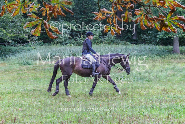 Jagd Perdoel_MarinaHewigDSCF3317 | Fotografie, FotoArt, PferdesportArt, Pferdesportfotografie, Landschaftsfotografie, Reisefotografie, Reise, Pferde - Realisiert mit Pictrs.com