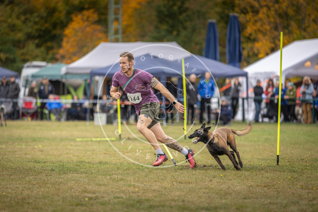 Pfotenfotografie_DV3A8078 | Hundefotografie, Tierfotograf, Pfotenfotografie, Fotoshooting Hund, Hunde Portrait, Hundesport, Hundeportraits, Heideshooting, Hunde, Sportfotograf, Hundefotograf, Turnierhundsport, THS,  - Realisiert mit Pictrs.com