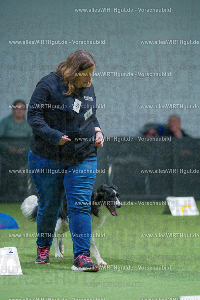 7R500611 | Professionelle Tierfotografie in Mönchengladbach von Daniel Wirth (allesWIRTHgut). Liebevolle & natürliche Bilder von Hunden & Katzen für unvergessliche Erinnerungen.