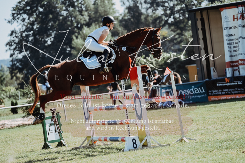 DSC_5670 | Pferde- und Turnierfotografie in Westsachsen. Pferdeportraits, Auftragszeichnungen und intuitive Kunst.