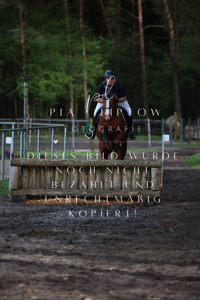 IMGT2013 | pl-fotografie