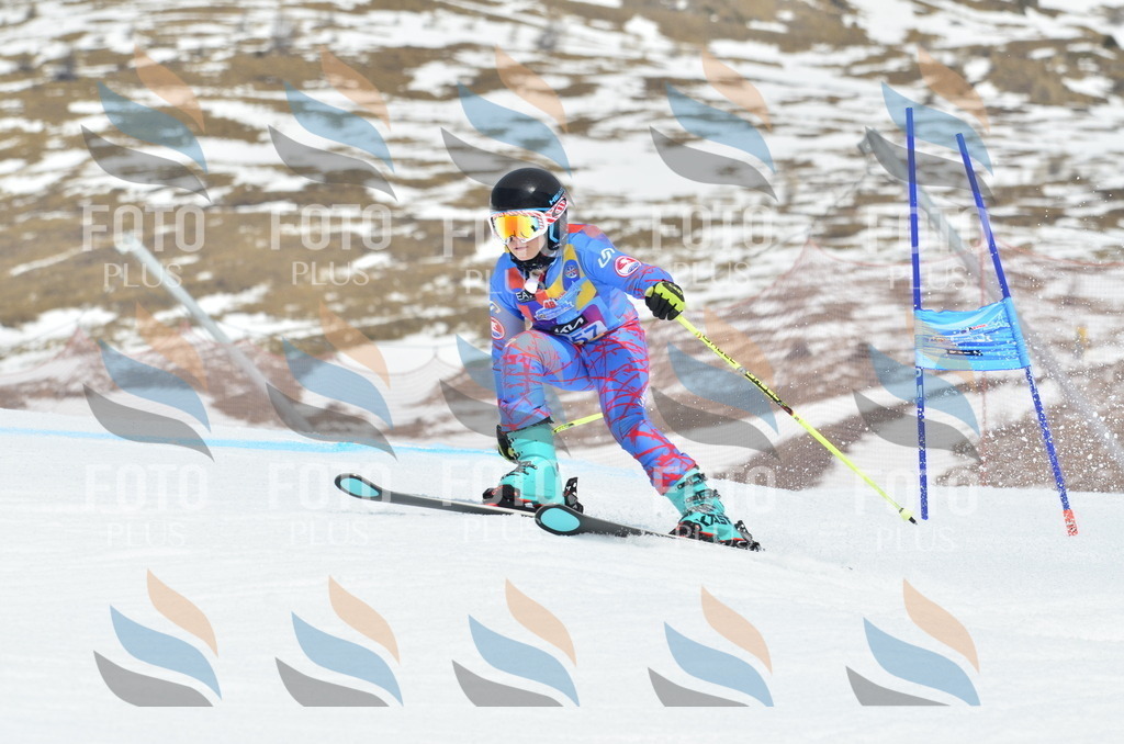 _ELE2777 | holidayphoto