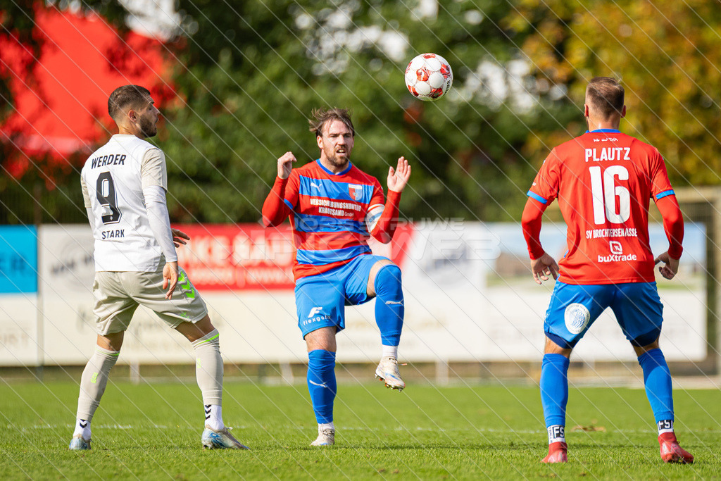 20250921_Picselweb-Fotografie_Meta_1R3_0687 | SV Drochtersen Assel - Werder Bremen II 3:2 - Realisiert mit Pictrs.com