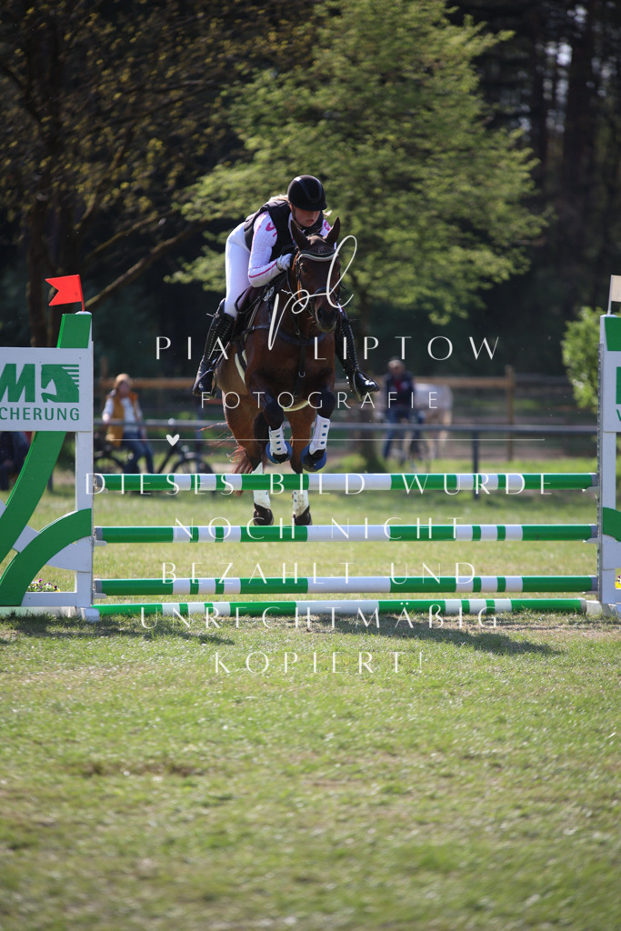 IMGT9242 | pl-fotografie