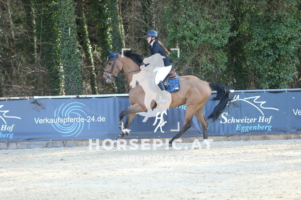 DL2Q4055 | Willkommen bei Brunnmayr - Design & Fotografie – Ihrem Spezialisten für Reitturniere und Pferdeveranstaltungen in Oberösterreich, Salzburg und Bayern! Seit über 17 Jahren sind wir leidenschaftlich dabei.