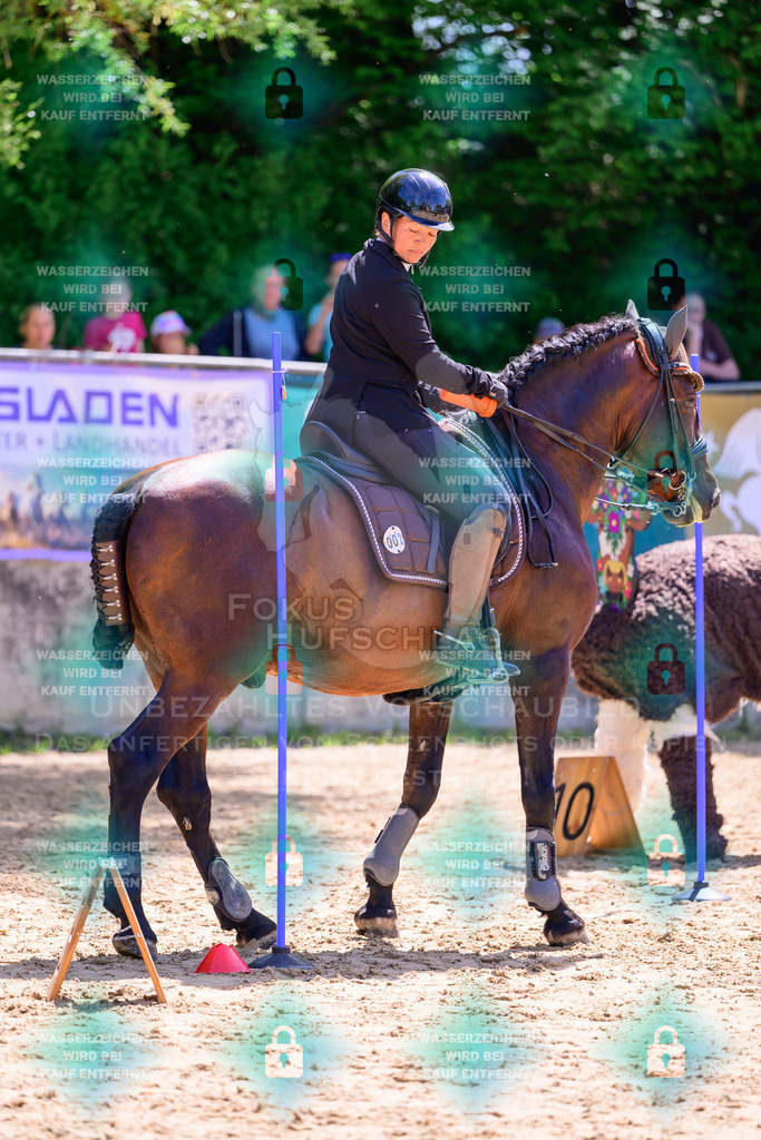 03052026-Giesenbach-04-Stiltrail-0040 | Fokus Hufschlag Fotografie - Realisiert mit Pictrs.com
