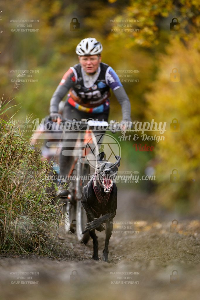 MompixPhotography_ICF_WC_2024_SA_Bike_-243 | PayLife