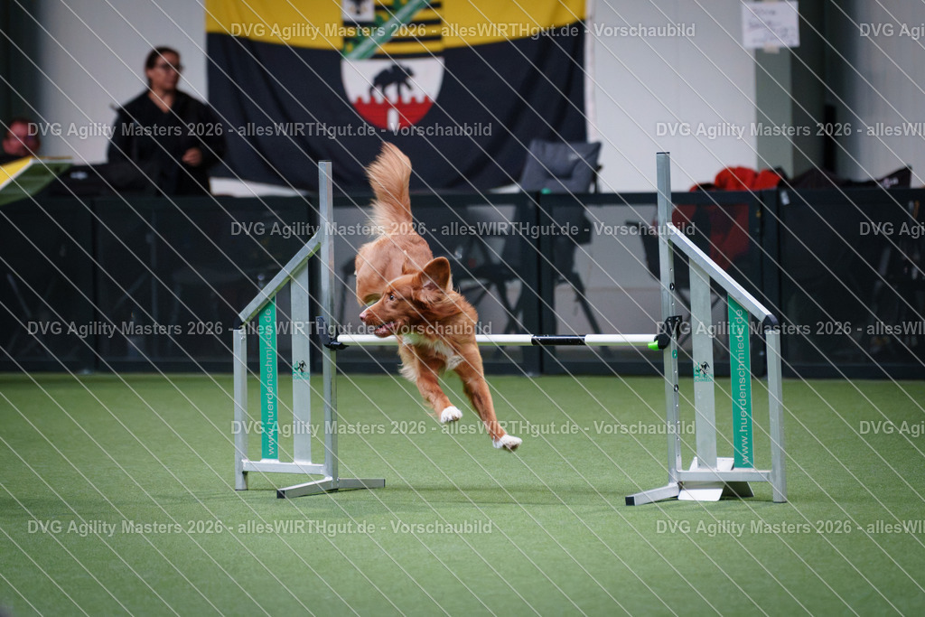 allesWIRTHgut_Tierfotografie-DVG_Agility_Masters_2026-15_30-7R506373 | Professionelle Tierfotografie in Mönchengladbach von Daniel Wirth (allesWIRTHgut). Liebevolle & natürliche Bilder von Hunden & Katzen für unvergessliche Erinnerungen.