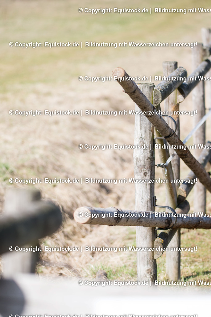 20170312_Koppelzaun_0010 | equistock