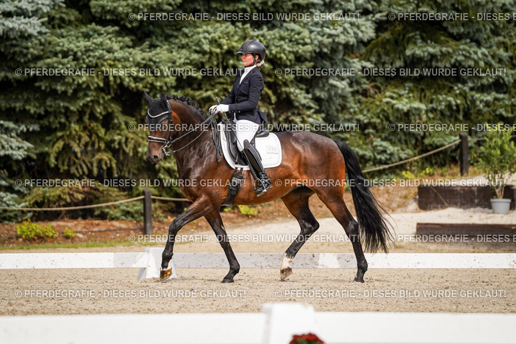 DSC06138 | Pferdegrafie