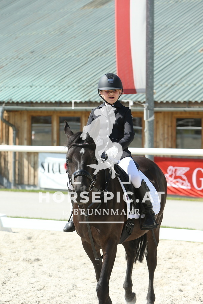 DL2Q0647 | Willkommen bei Brunnmayr - Design & Fotografie – Ihrem Spezialisten für Reitturniere und Pferdeveranstaltungen in Oberösterreich, Salzburg und Bayern! Seit über 17 Jahren sind wir leidenschaftlich dabei.