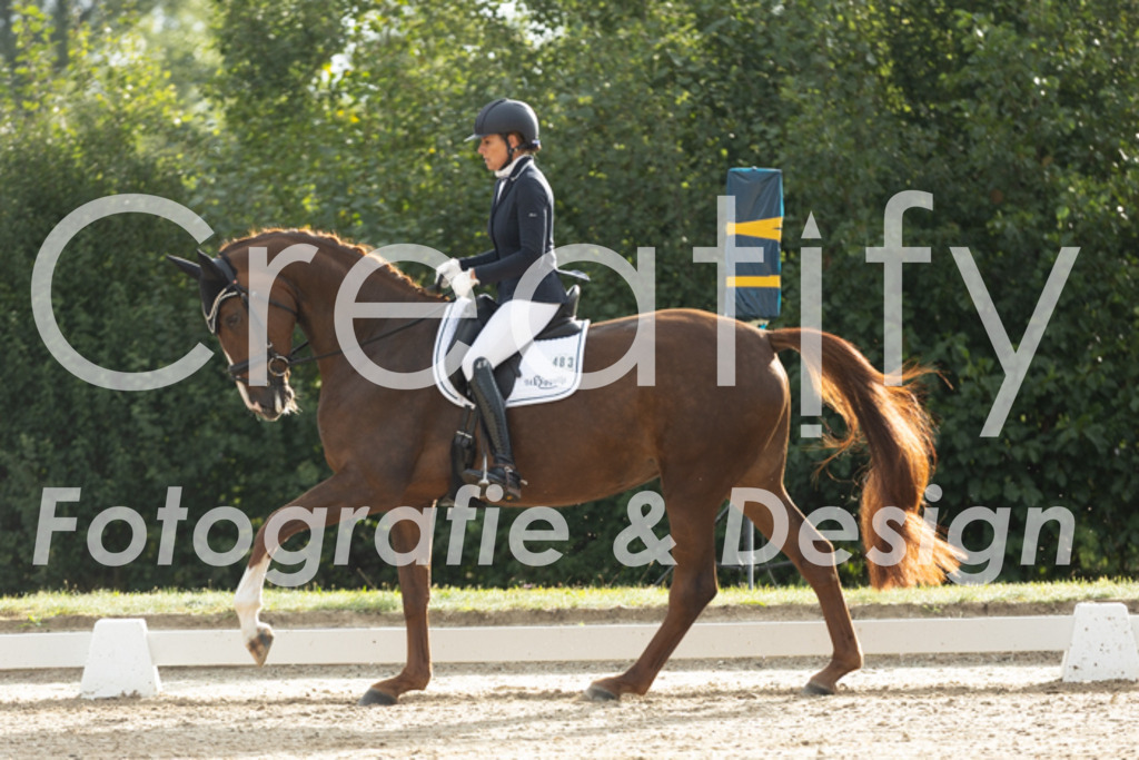 IMG_4155 | Creatify Fotografie