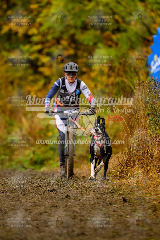 MompixPhotography_ICF_WC_2024_SA_DS_-102 | PayLife