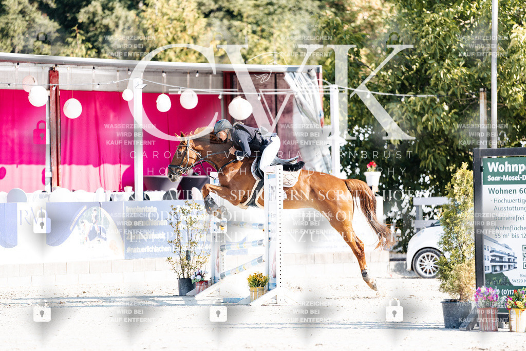 CK901767 | Turnierfotografie Pferdefotografie Trier Rheinland-Pfalz Pferdesport Reitsport Tierfotografie Sportfotografie Pferdevideo Pferdevideografie Equestrianvideography equestrianphotography  - Realisiert mit Pictrs.com