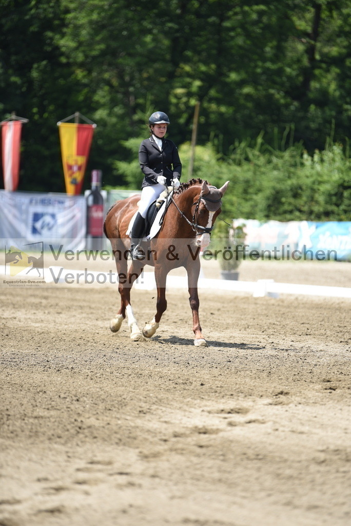 DSC_0008 | equestrian-live-com