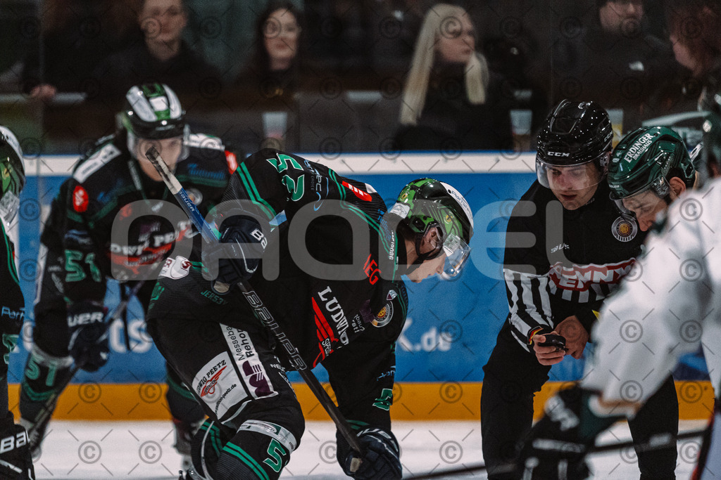 Alligators_vs_Erding_01_02_2026-09 | Höchstadt Alligators Fotogalerie: Eishockey-Action aus Franken. Professionelle Spielfotos, Portraits & Stadionbilder zum Download. Jetzt entdecken! - Realisiert mit Pictrs.com