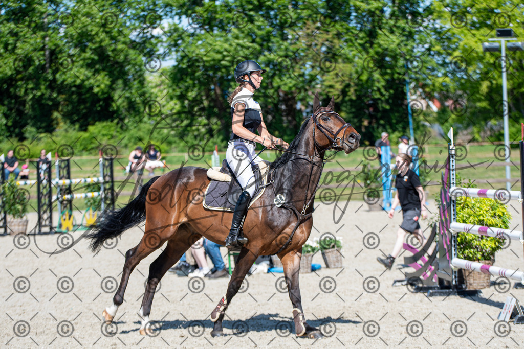 KPT_1347 | andre_photographic