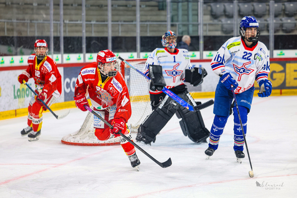 U18_EHCB vs EHCK_wb20260308-0835 | Sportbilder, Sportfotograf, Hochzeits- und Eventfotografin, Flugshows, Portraits und Tiershooting, Aviation, Downhill, Nationalleague, Swissleague, International