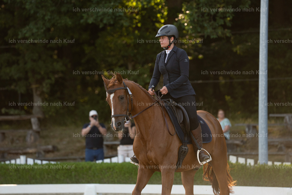 WA_DR_64_SinaFilmArt_IN00045 | working equitationturnier fotograf videograf stoibphotography marixx film working equitation deutschland reitsport turnierfotografie eventfotografie equestrian events