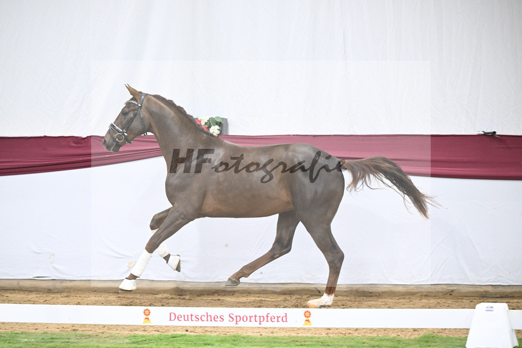 Kat-Nr. 32 Va Bene x Delatio_Simonne Spaeth_47251090 | hf-fotografie - Realisiert mit Pictrs.com