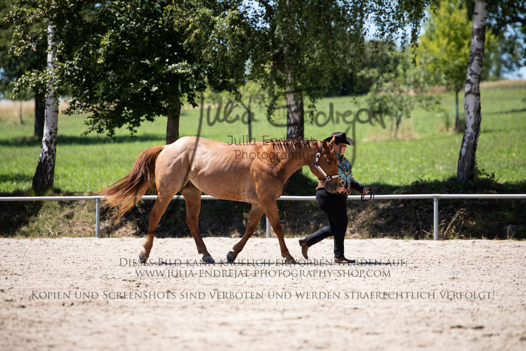 20220702-JuliaEndrejatPhotography-1270 | Julia Endrejat Photography