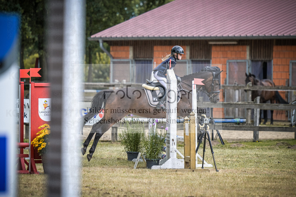 DOS_0952 | Entdecke hochwertige Reitturnierfotos von Foto Oger. Professionell, emotional und authentisch – jetzt Lieblingsmomente im Shop bestellen.Deutschlandweite Turnierfotografie. - Realisiert mit Pictrs.com