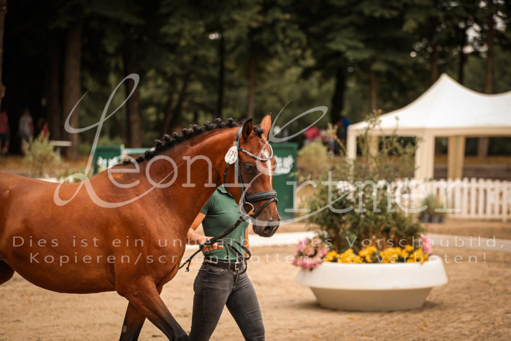 08.So00002 | Leoni Ertmer Photography - Realisiert mit Pictrs.com