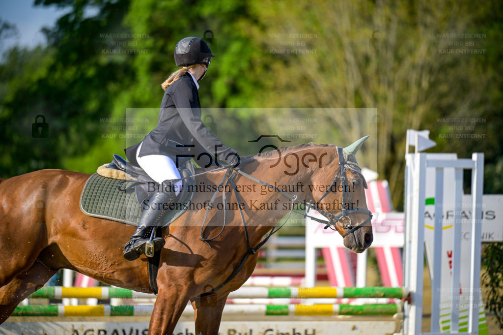 Reitturnier Lienen | Entdecke hochwertige Reitturnierfotos von Foto Oger. Professionell, emotional und authentisch – jetzt Lieblingsmomente im Shop bestellen. - Realisiert mit Pictrs.com