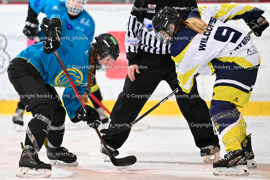 BST_6556 | hockey sports photos, Pressefotos, Sportfotos, hockey247, win 2day icehockeyleague, Handball Austria, Floorball Austria, ÖVV, Kärntner Eishockeyverband, KEHV, KFV, Kärntner Fussballverband, Österreichischer Volleyballverband, Alps Hockey League, ÖFB, 