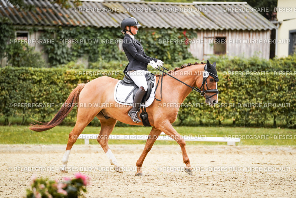 DSC08097 | Pferdegrafie