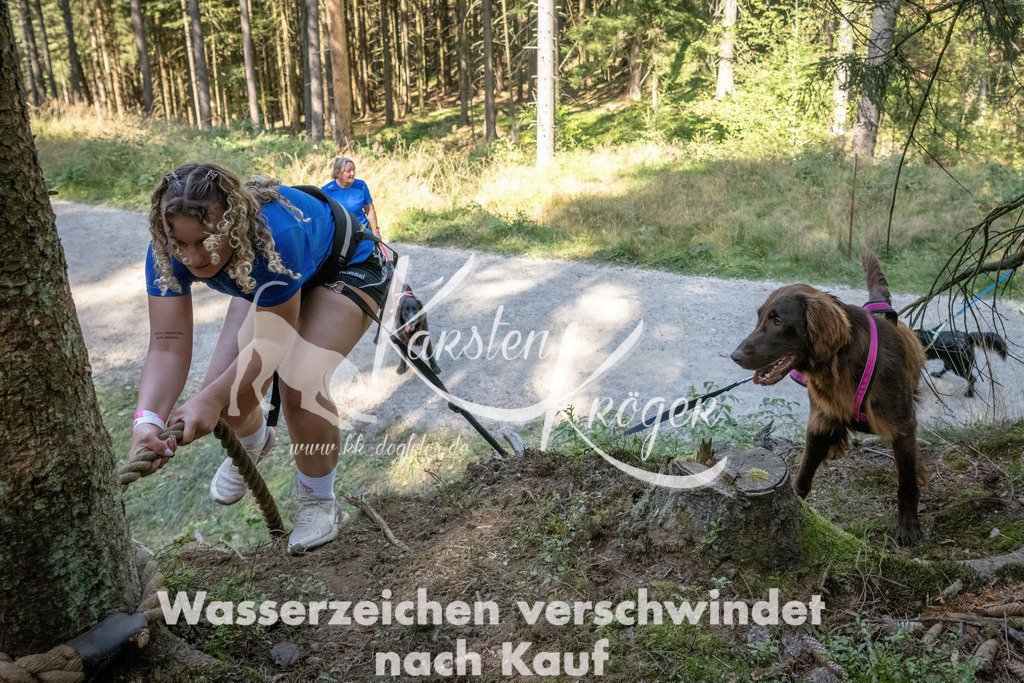 1216_ZZ93804 | kk-dogfotos