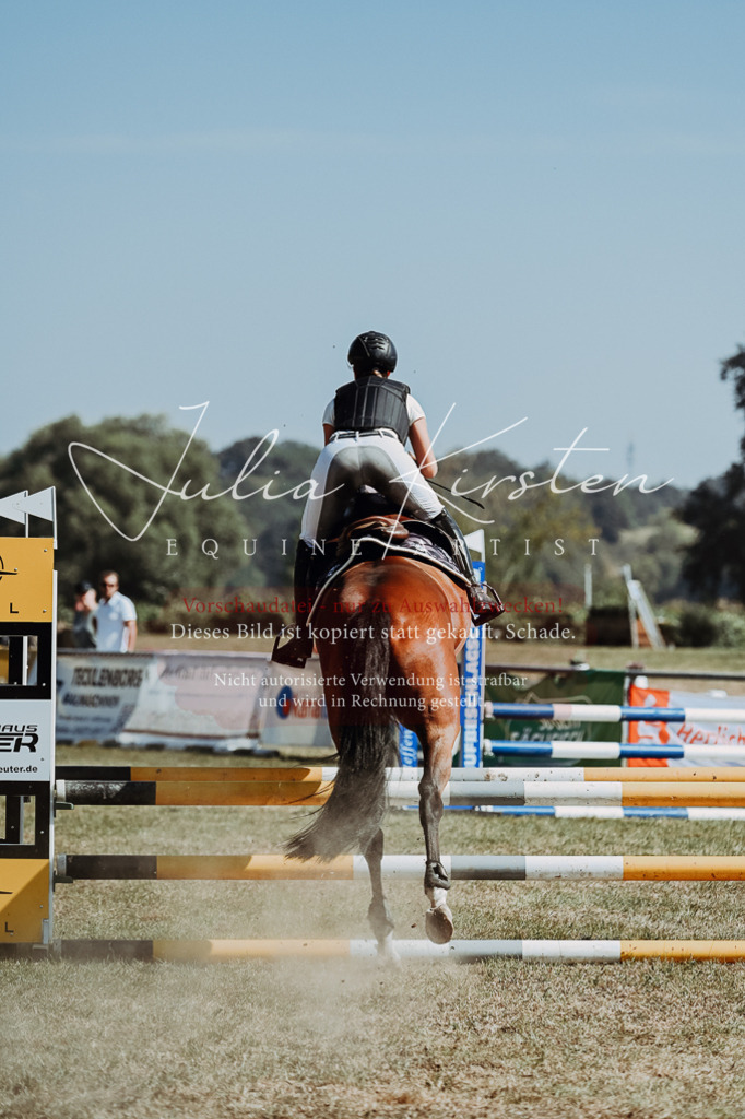 DSC_9687 | Pferde- und Turnierfotografie in Westsachsen. Pferdeportraits, Auftragszeichnungen und intuitive Kunst.