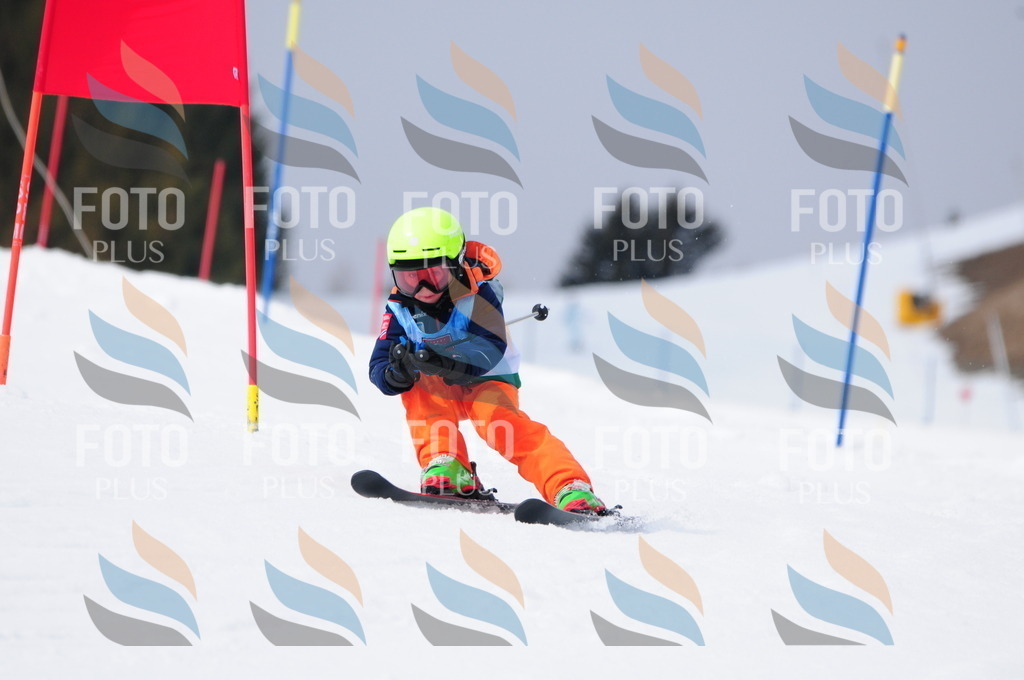 A3831 | holidayphoto