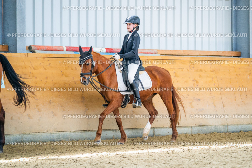 DSC03664 | Pferdegrafie