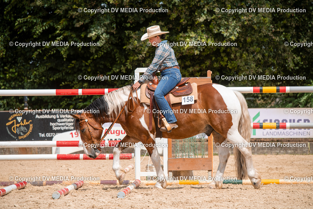 EWP_6137 | dv-media-shop - Realisiert mit Pictrs.com