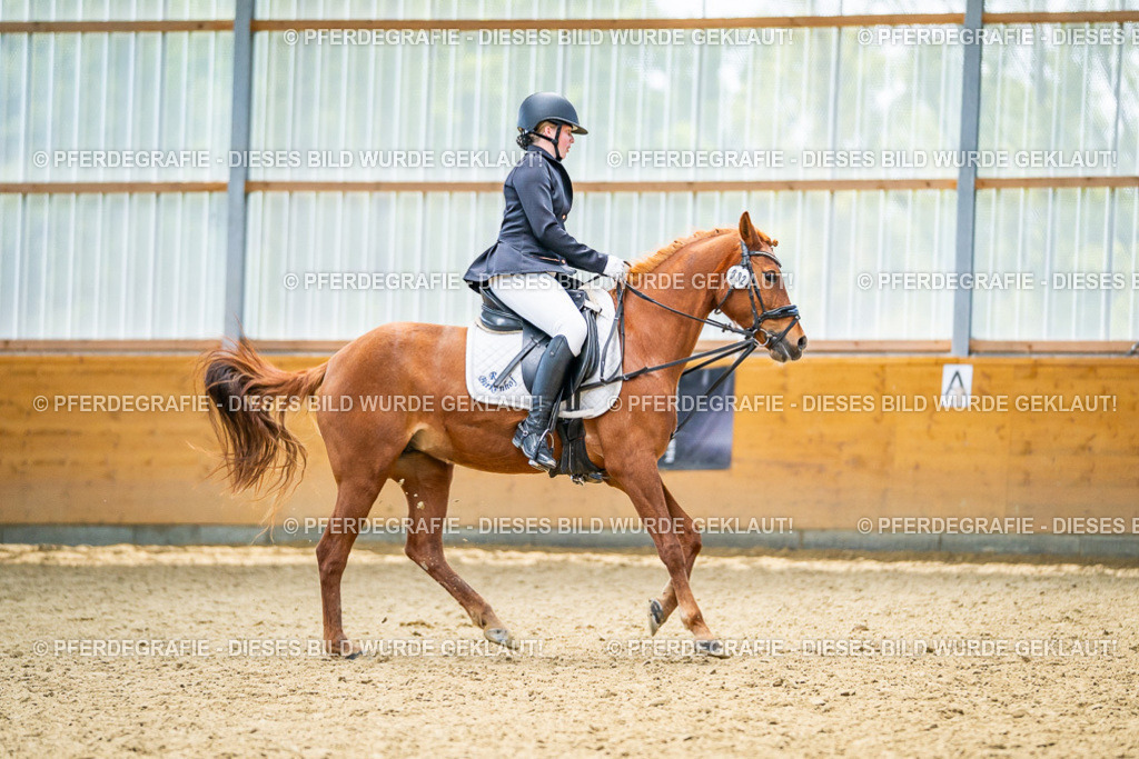 DSC05004 | Pferdegrafie