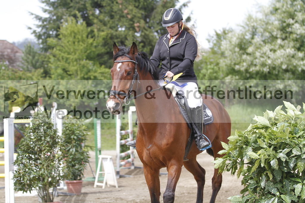 _MG_2632 | equestrian-live-com